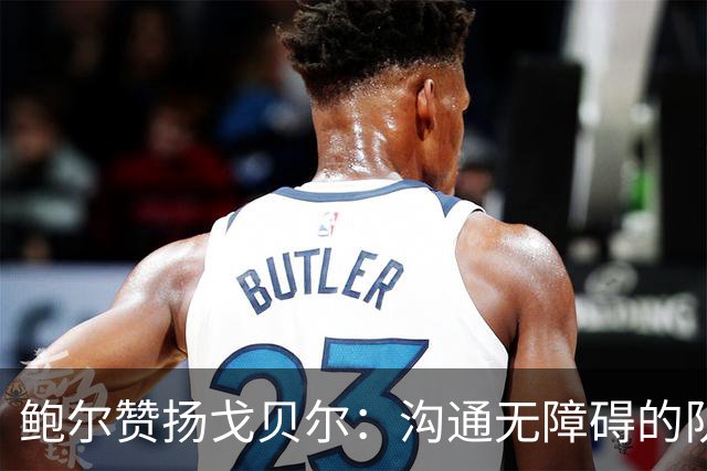 鲍尔赞扬戈贝尔：沟通无障碍的队友是我的荣幸